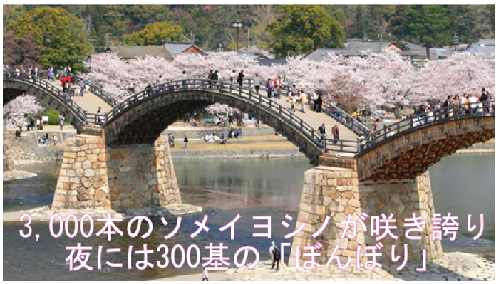 f:id:ek0901:20201111101859p:plain f:id:ek0901:20201111101859p:plain