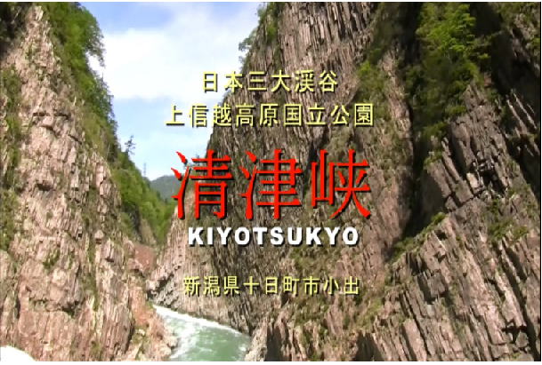 f:id:ek0901:20201124115858p:plain