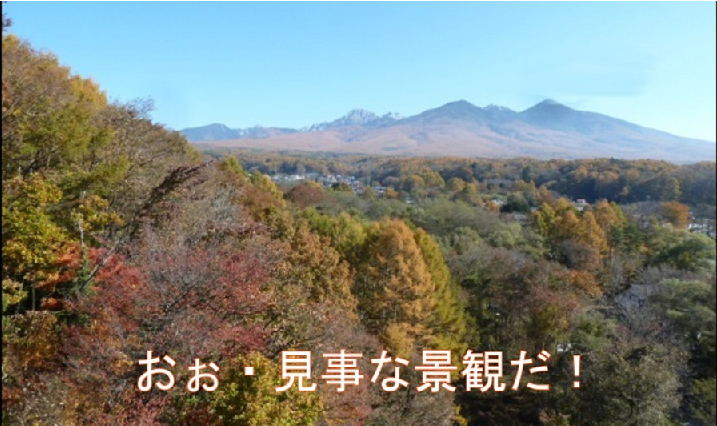 f:id:ek0901:20201127100939p:plain