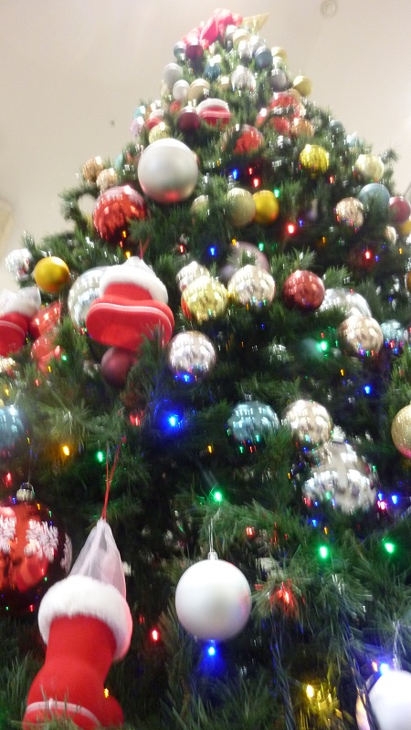 f:id:ek0901:20201211143200j:plain