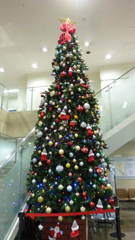 f:id:ek0901:20201211143254j:plain