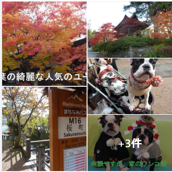 f:id:ek0901:20201220131305p:plain