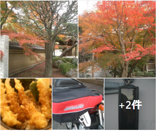 f:id:ek0901:20201227112025p:plain