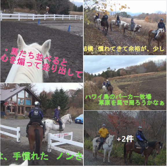 f:id:ek0901:20210122103049p:plain