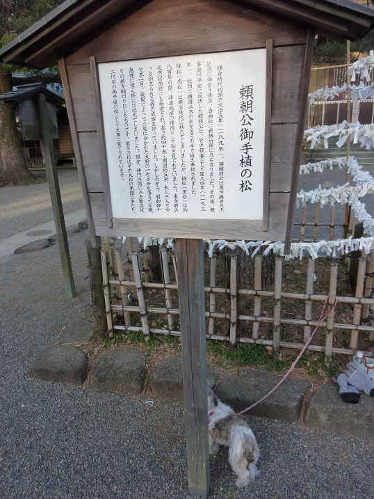 f:id:ek0901:20210301090034j:plain