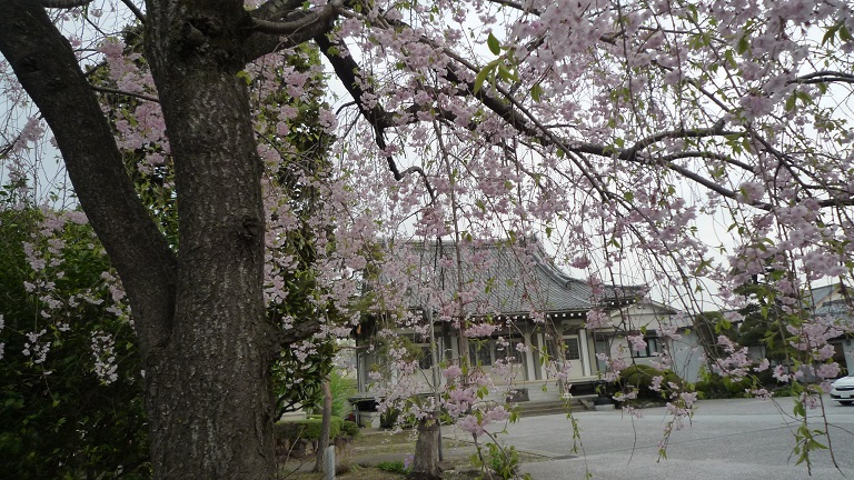 f:id:ek0901:20210414091602j:plain