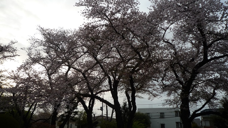 f:id:ek0901:20210414091621j:plain