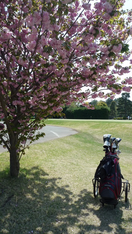 f:id:ek0901:20210414091643j:plain