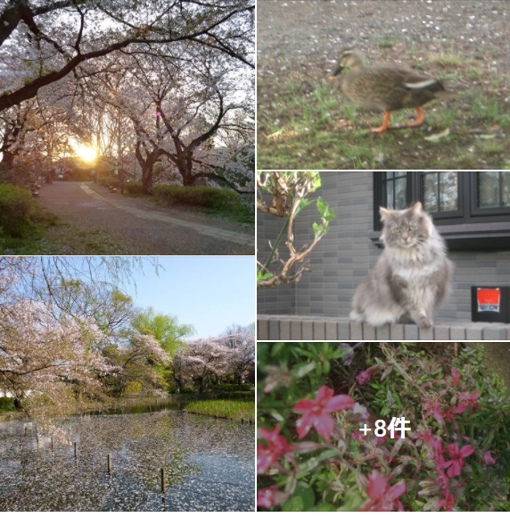 f:id:ek0901:20210423091316p:plain