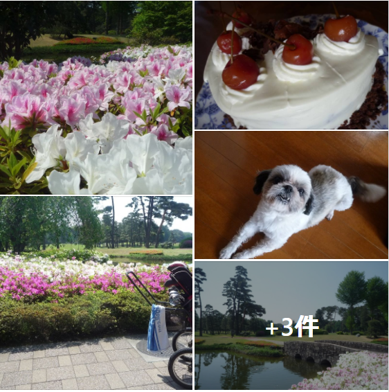 f:id:ek0901:20210428084442p:plain