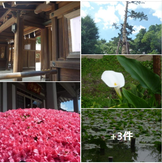 f:id:ek0901:20210609091156p:plain