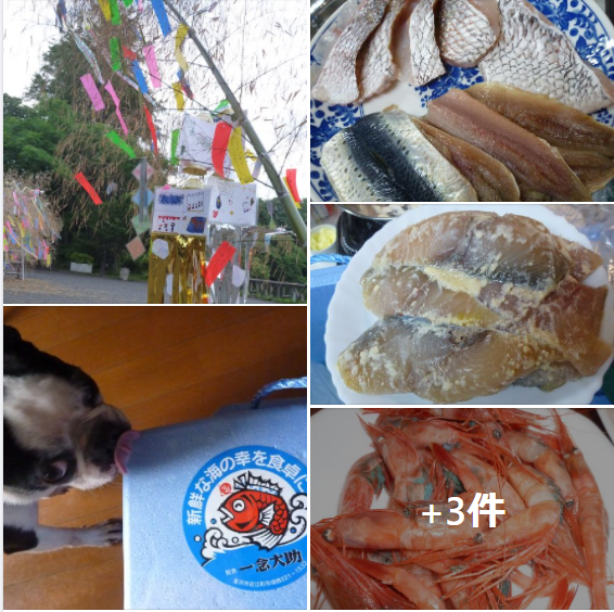 f:id:ek0901:20210707080359p:plain