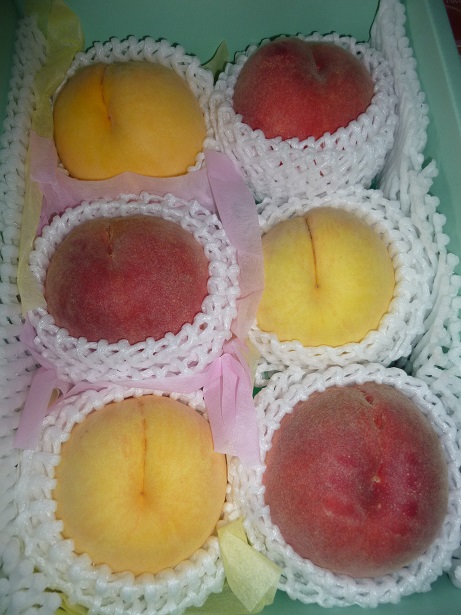 f:id:ek0901:20211001082157j:plain