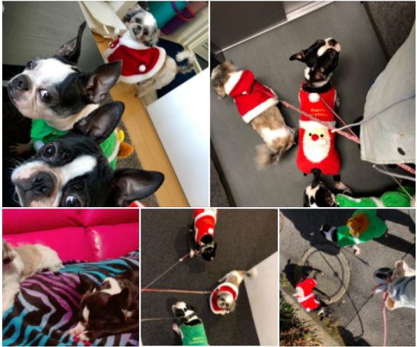 f:id:ek0901:20211225100131p:plain