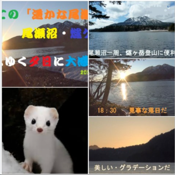 f:id:ek0901:20220131102624p:plain