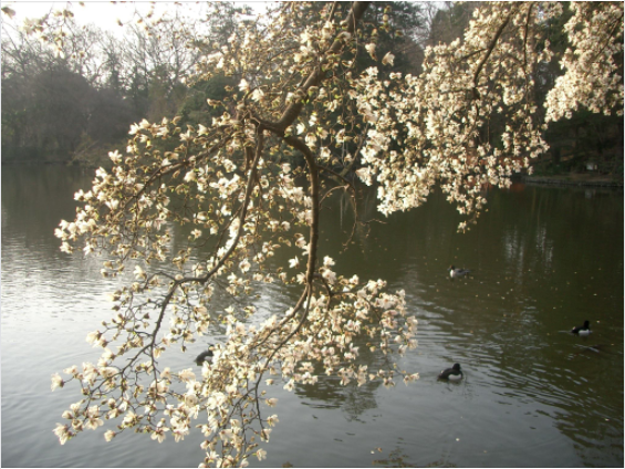 f:id:ek0901:20220322093808p:plain