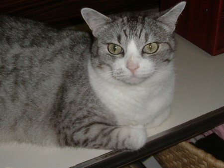 f:id:ekawa:20030323000841j:plain