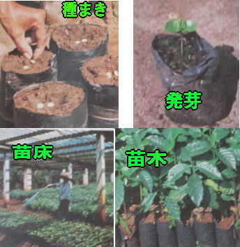 f:id:ekawa:20150919154711j:plain