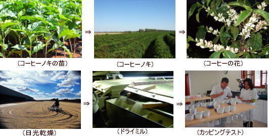 f:id:ekawa:20170908132918j:plain