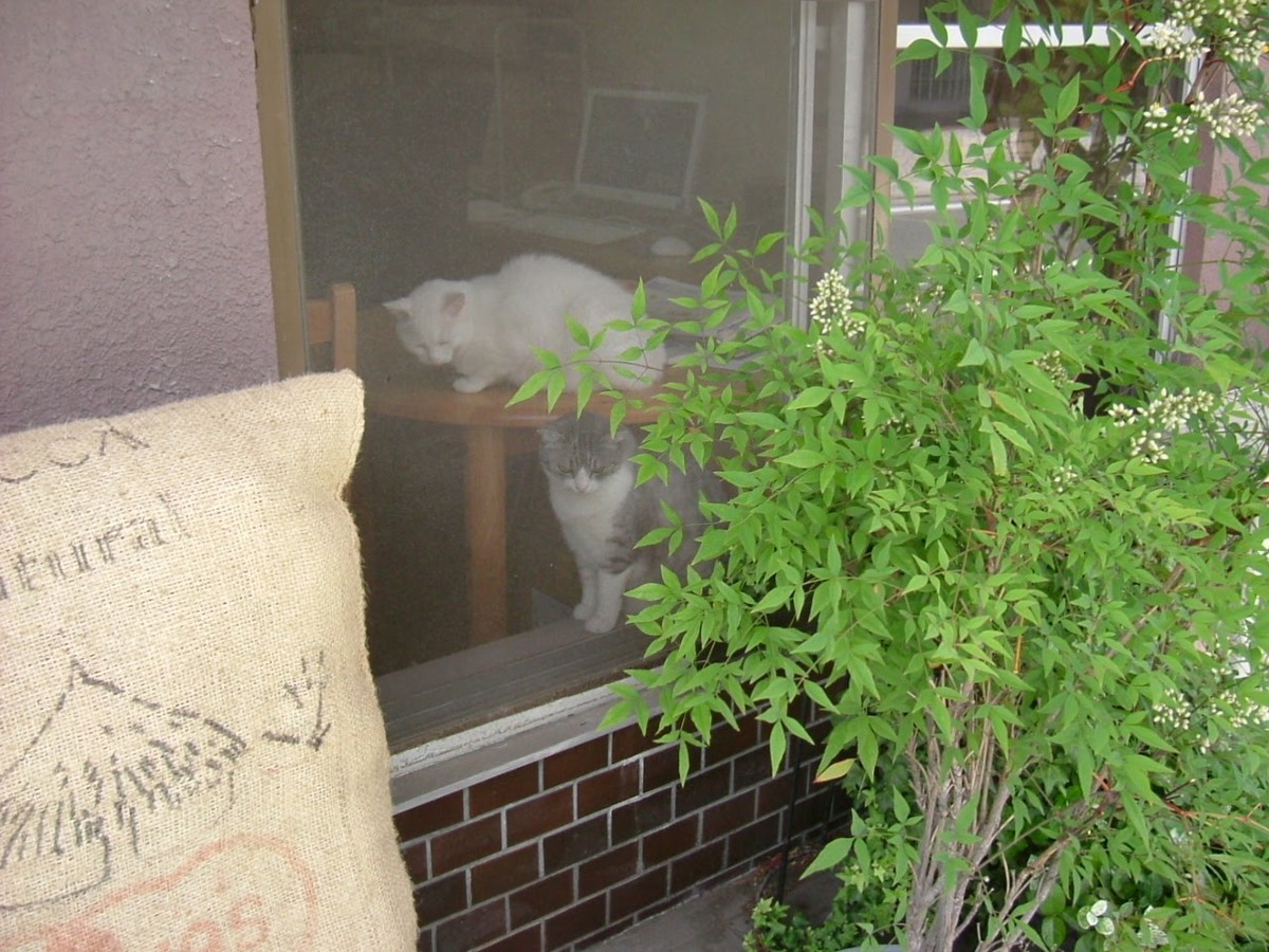 f:id:ekawa:20201225142202j:plain
