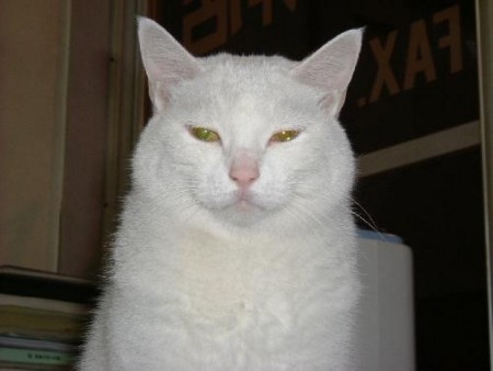 f:id:ekawa:20210312152141j:plain