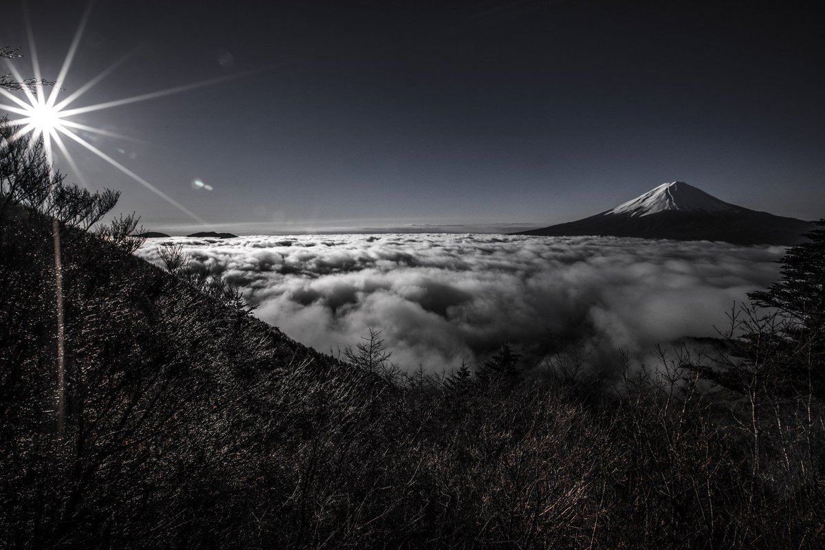 f:id:ekikyorongo:20200213165321j:plain