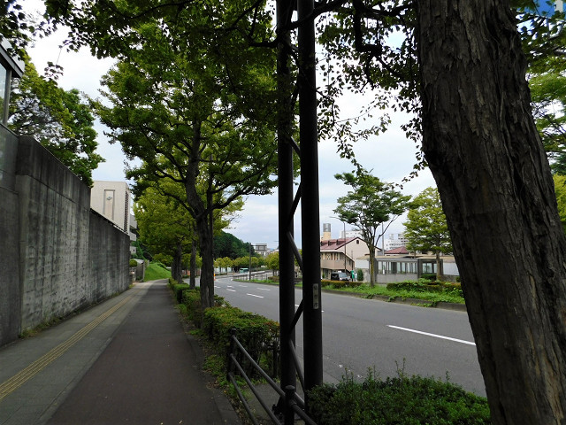 台原駅周辺道路