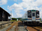 #4019　遠州森（2024.8.25）