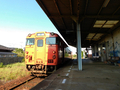 #4117　仙崎（2026.5.13）