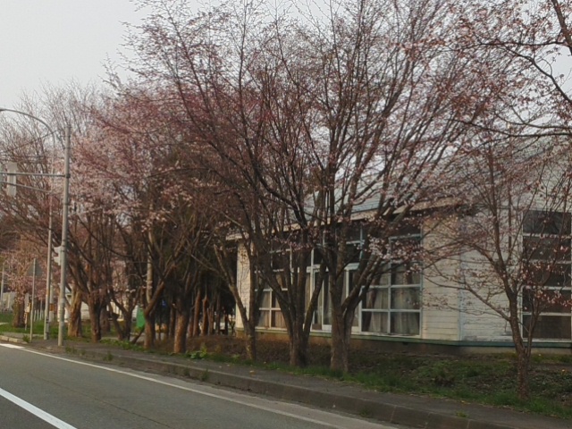 イメージ 11