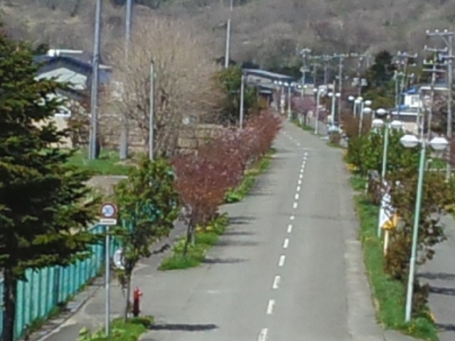 イメージ 3