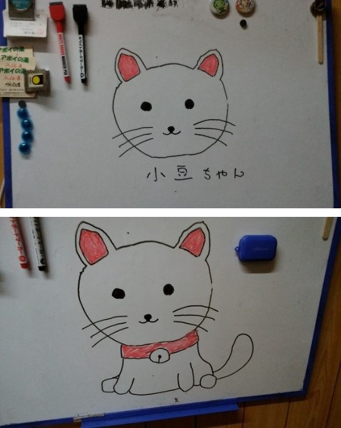 イメージ 9