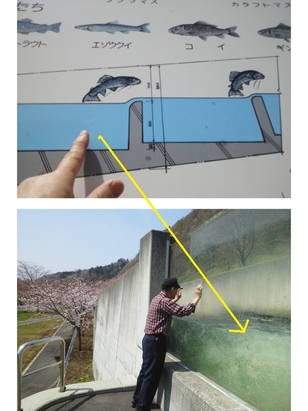 イメージ 11