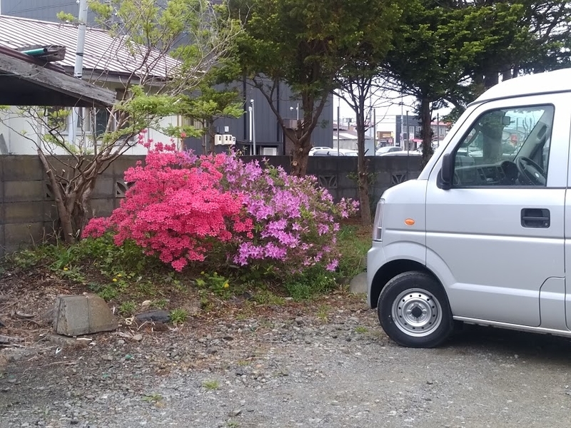 イメージ 9