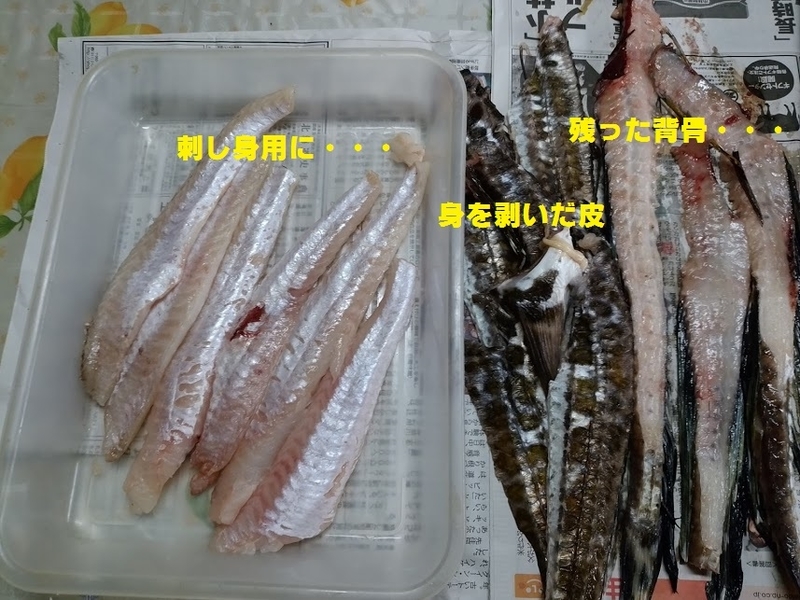 イメージ 4