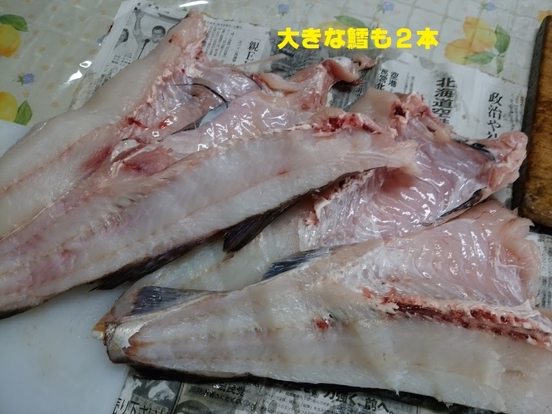イメージ 5