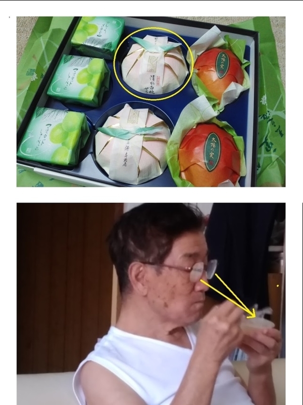 イメージ 7