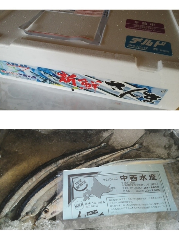イメージ 9