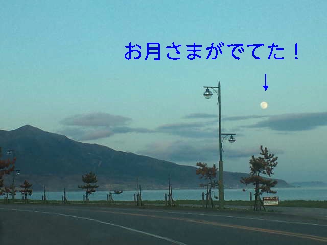 イメージ 5