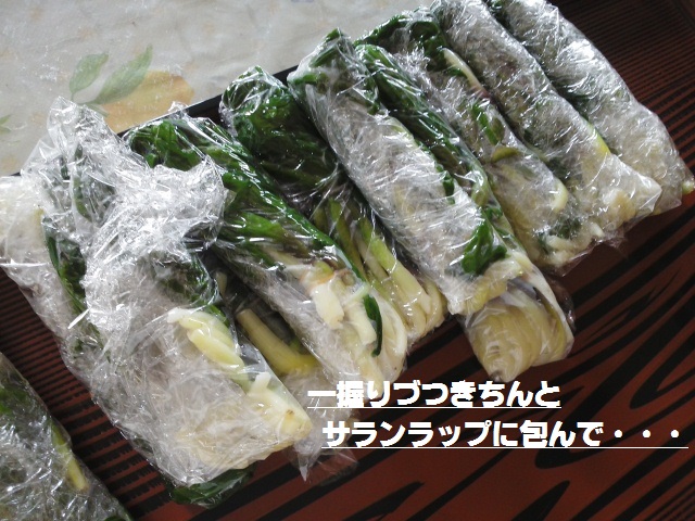 イメージ 12