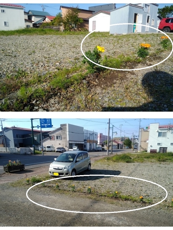 イメージ 8