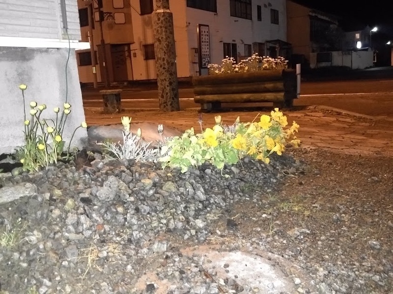 イメージ 9