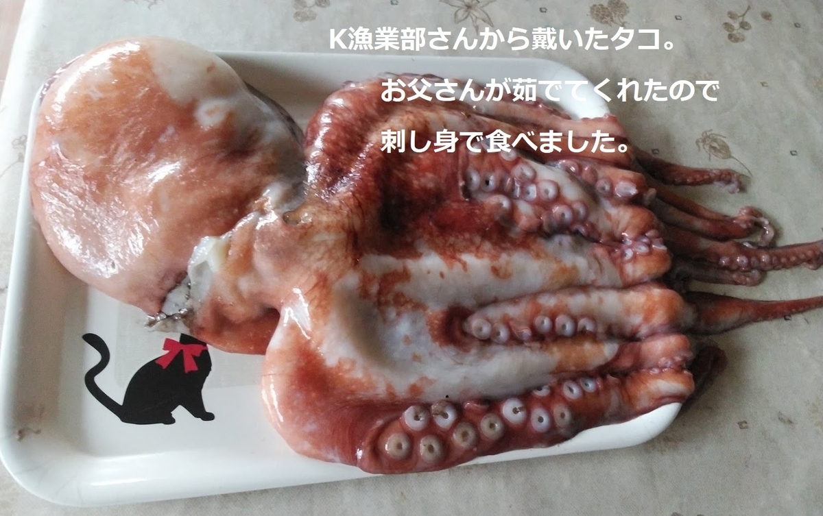f:id:ekimaeminsyuku2:20200601063455j:plain