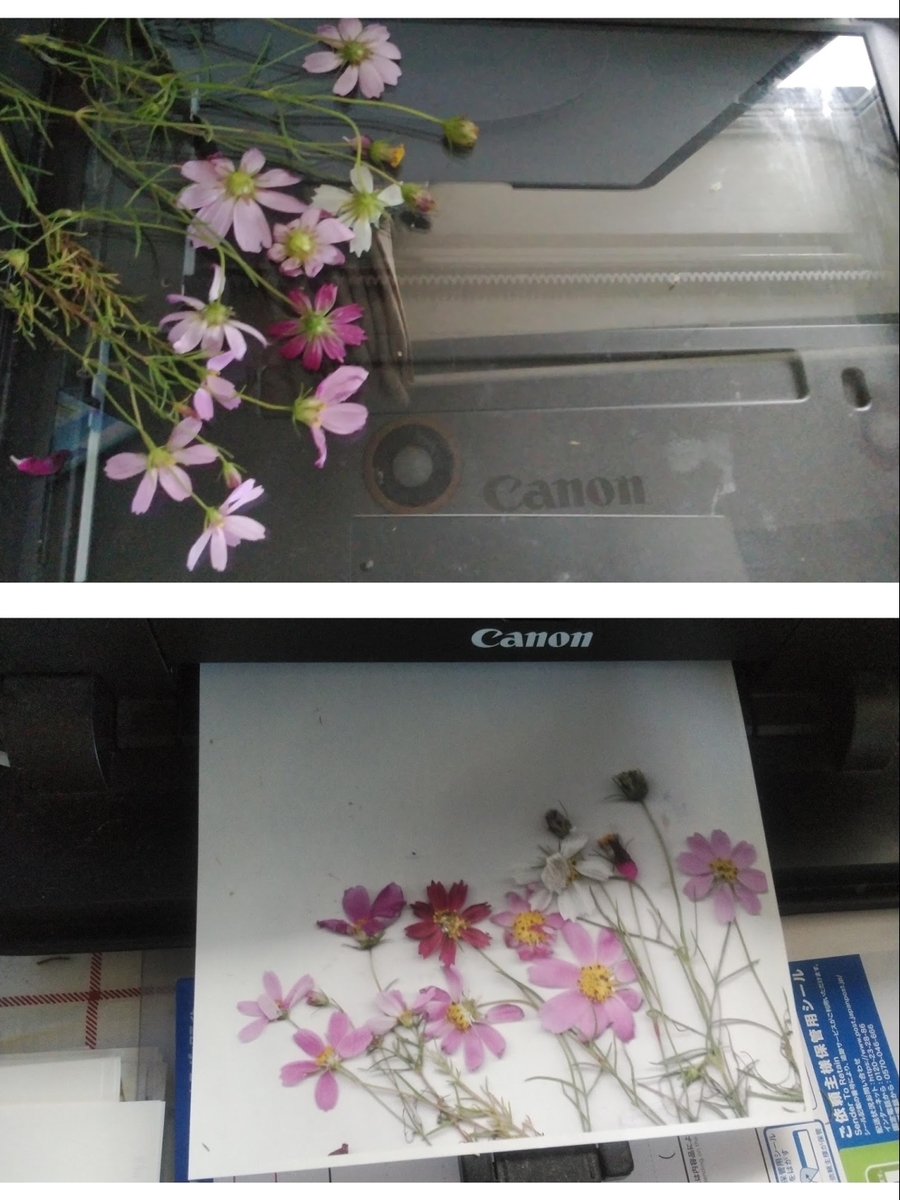 f:id:ekimaeminsyuku2:20200928095152j:plain