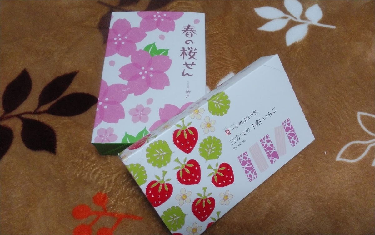 f:id:ekimaeminsyuku2:20210313075602j:plain