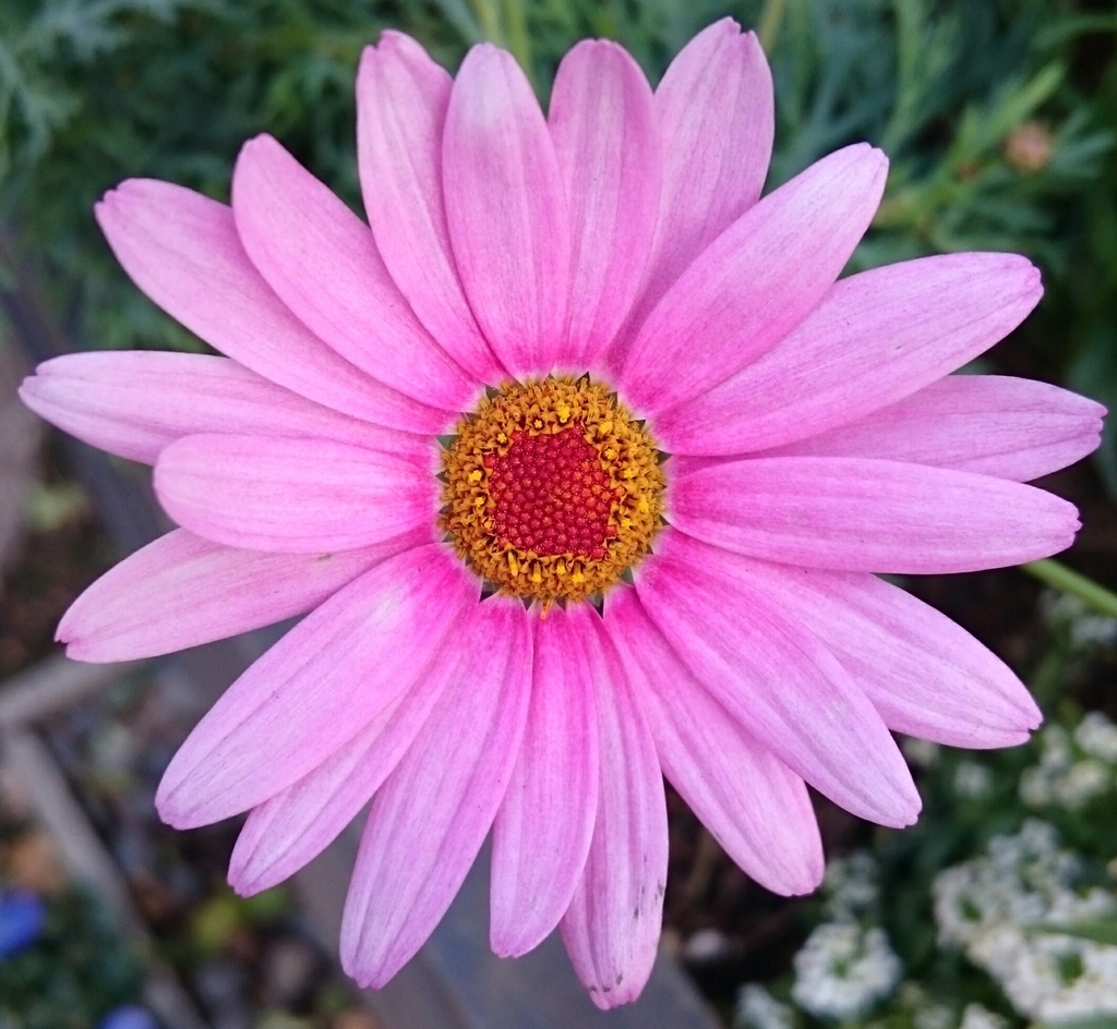 f:id:ekme-pk2:20190305013256j:plain f:id:ekme-pk2:20190305013256j:plain