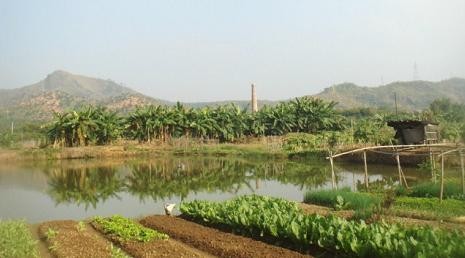 f:id:ekobiiki:20091127145351j:image