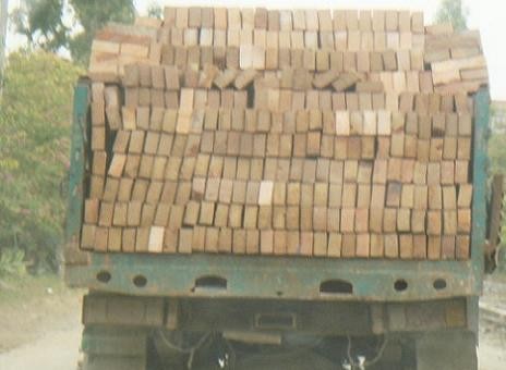 f:id:ekobiiki:20091127151230j:image