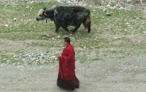 f:id:ekobiiki:20110601205740j:image