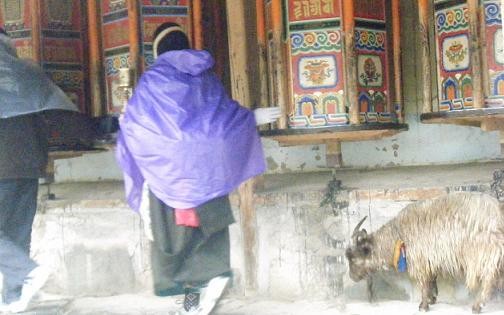 f:id:ekobiiki:20110601224343j:image